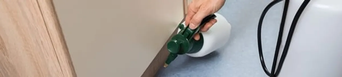 Bed bug exterminator treating baseboards and cracks with targeted spray in Miami, FL