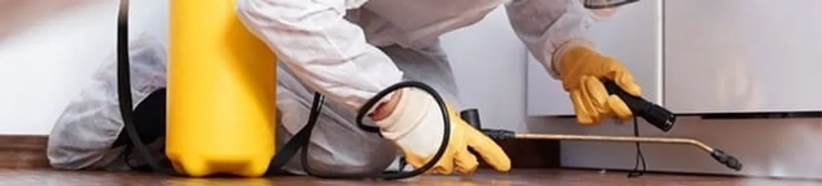 Roach exterminator treating cracks and crevices along kitchen baseboards in Miami, FL
