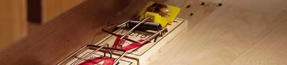 Rodent trap set indoors for rodent control and prevention in Miami, FL